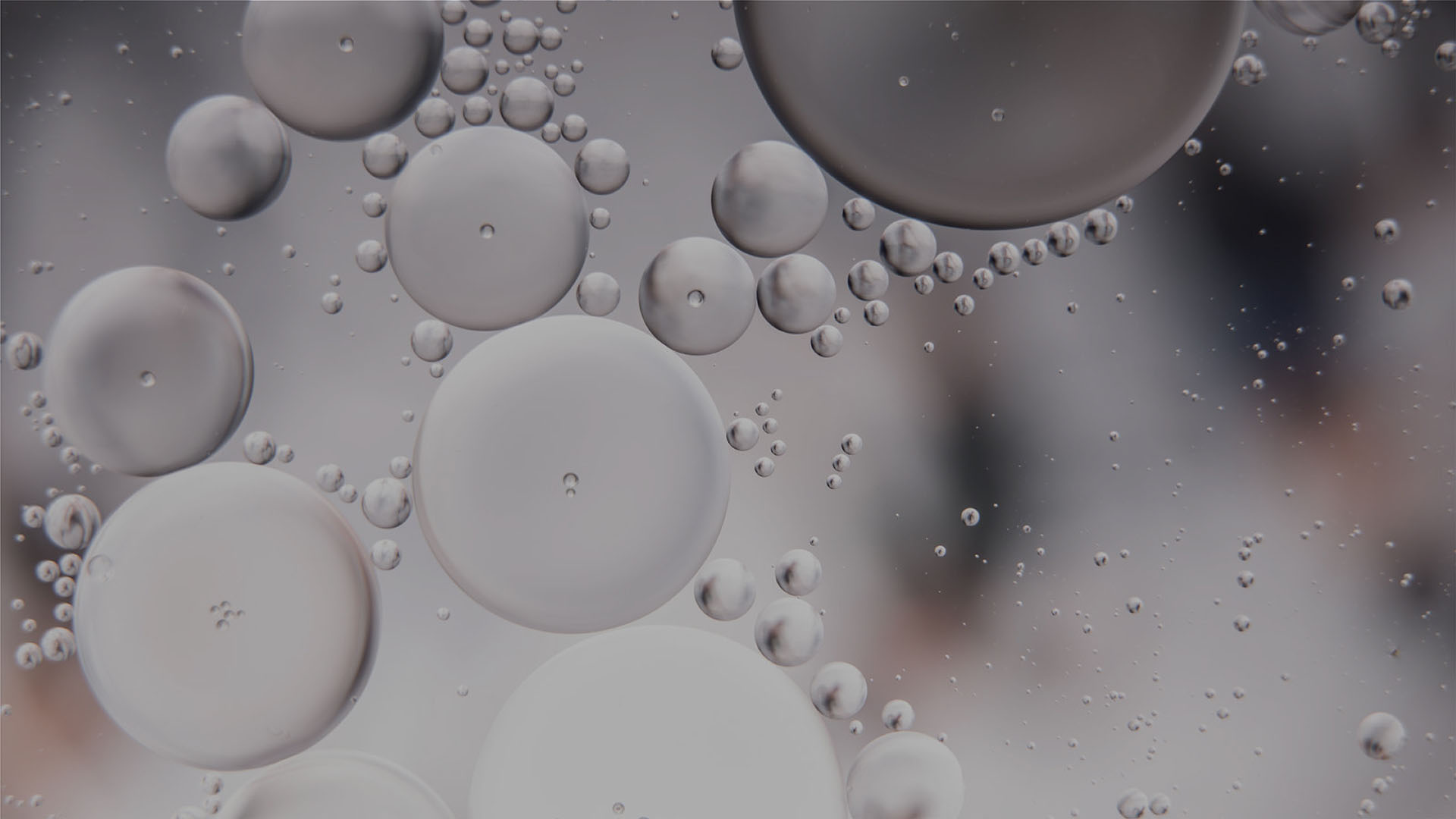 banner1